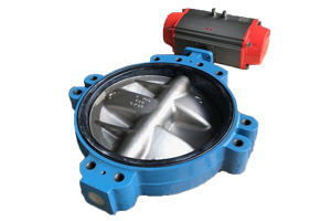 Butterfly Valve with Actuator